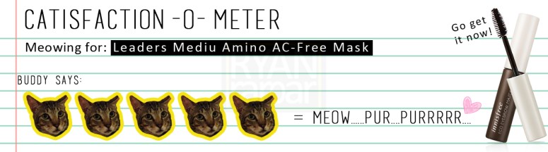 Catisfaction-o-meter (5x Innisfree Eco Eyebrow Masacara)