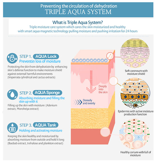 (What is this 'Triplex Aqua System' that is prevalent in the entire Super Aqua Ultra Water-Full line?) Credit: Google