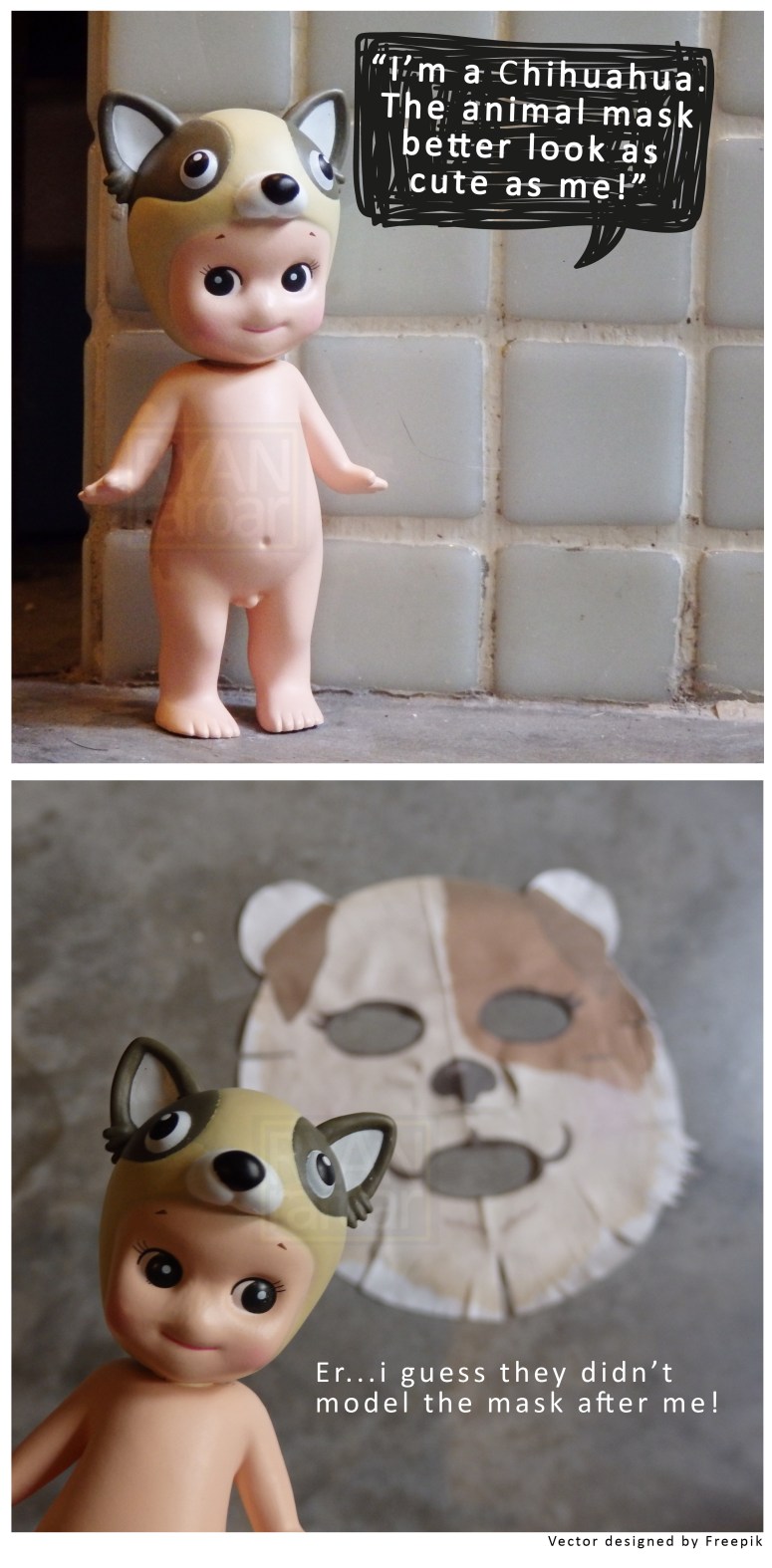 (Little Sonny Angel Chihuahua is happy the dog mask doesn't look a bit like her!)