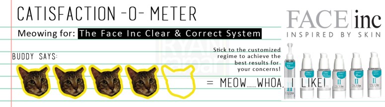 Catisfaction-o-meter (4x The Face Inc Clear & Correct System)