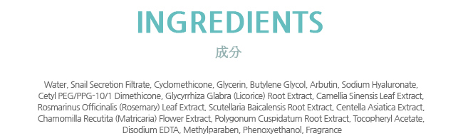 Credit: Seed & Tree China website