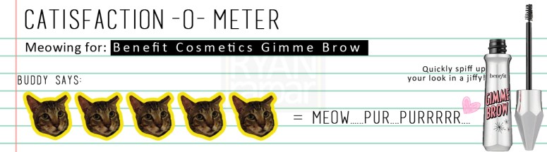 Catisfaction-o-meter (5x Benefit Cosmetics Gimme Brow)